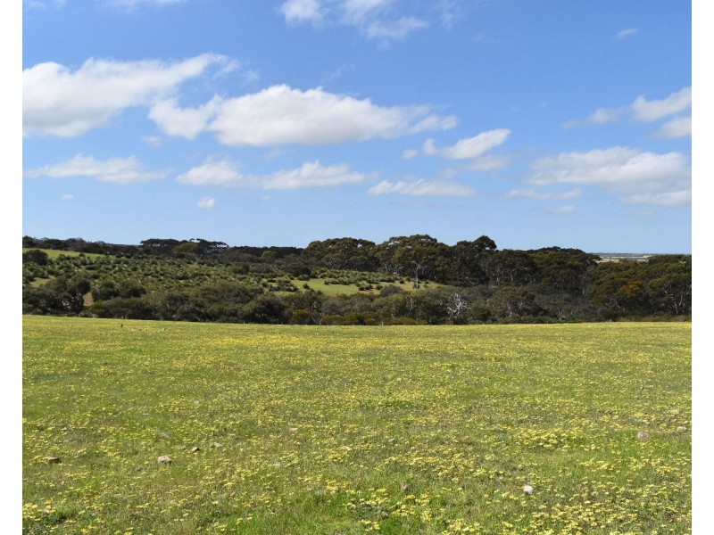 Lot 6 Bark Hut Road, Cassini SA 5223