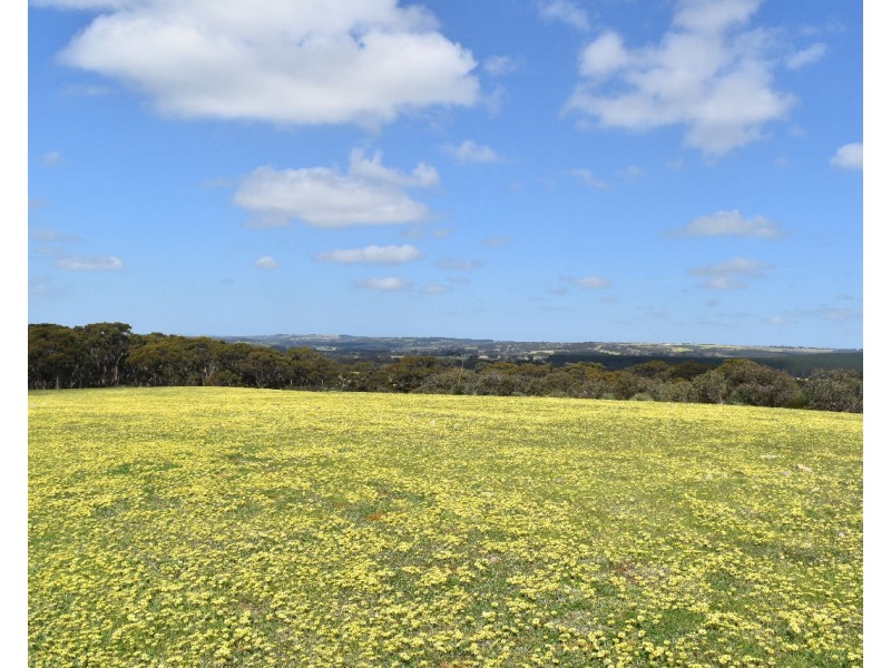 Lot 6 Bark Hut Road, Cassini SA 5223