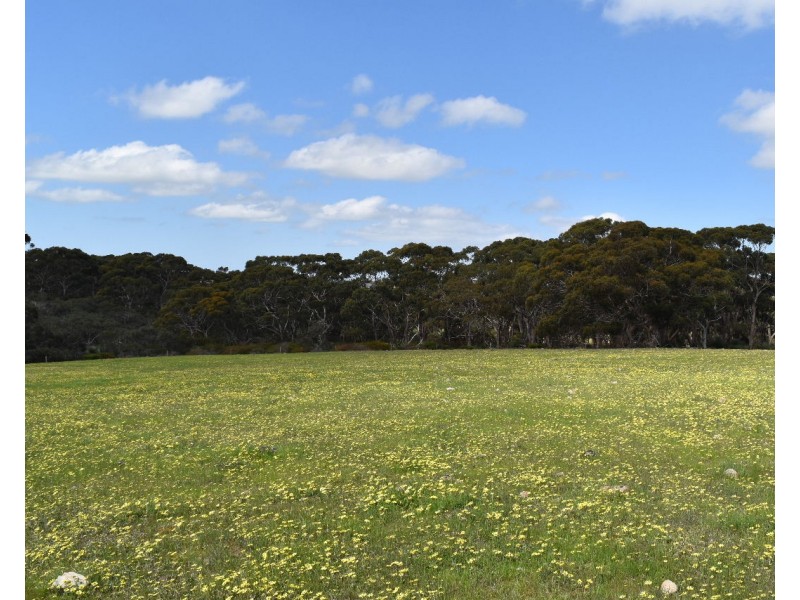 Lot 6 Bark Hut Road, Cassini SA 5223