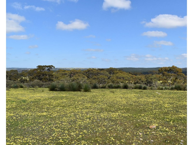 Lot 6 Bark Hut Road, Cassini SA 5223