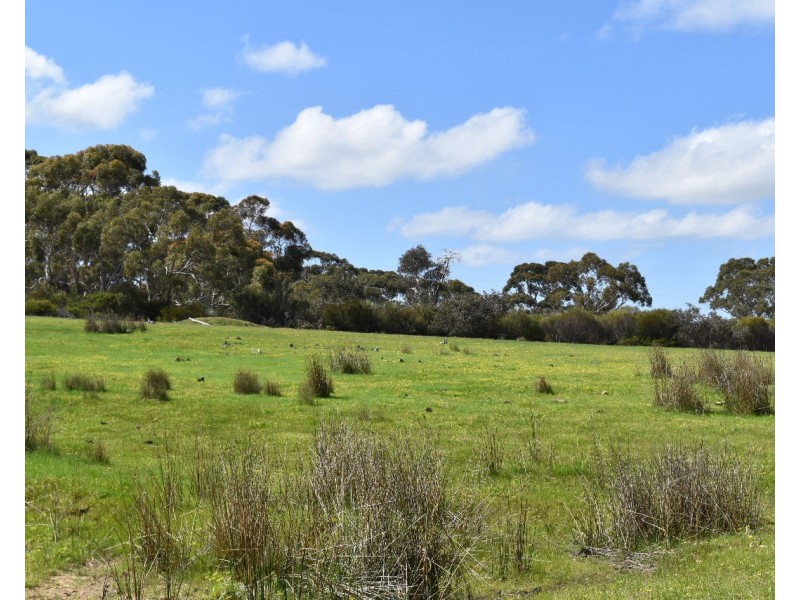 Lot 6 Bark Hut Road, Cassini SA 5223