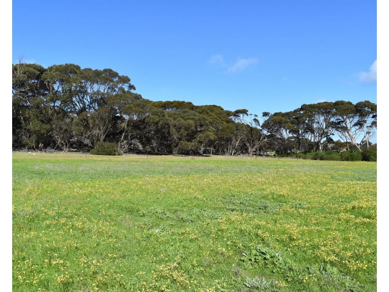 11 Shoals Road, Kingscote SA 5223