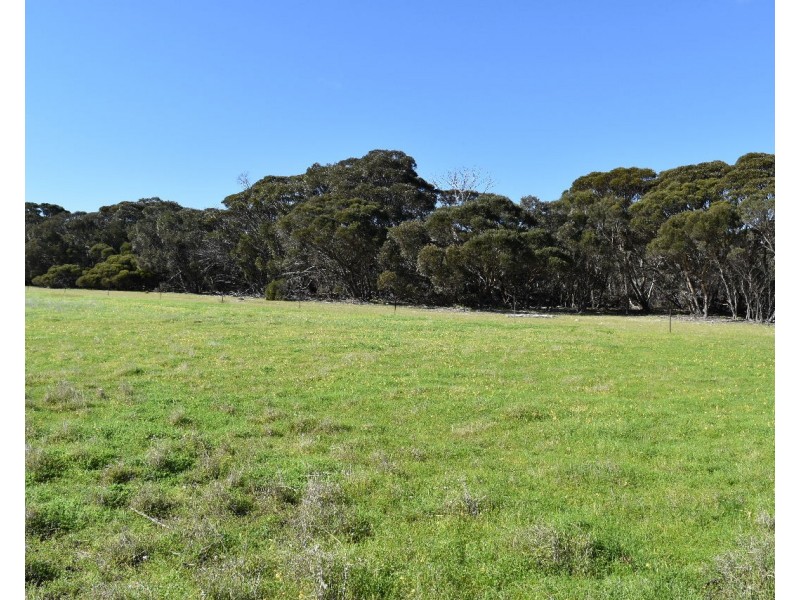 11 Shoals Road, Kingscote SA 5223