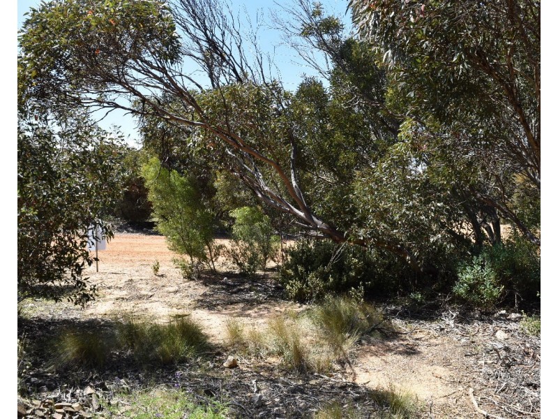 22 Dolphin Crescent, Vivonne Bay SA 5223