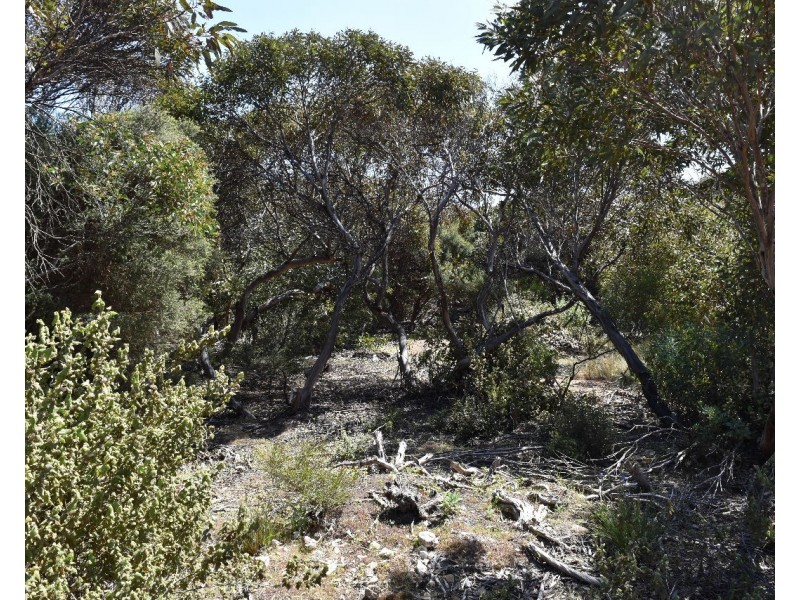 22 Dolphin Crescent, Vivonne Bay SA 5223