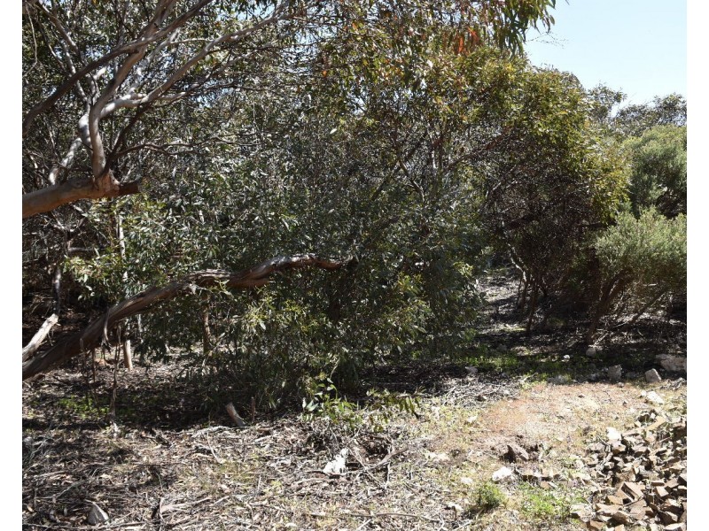 22 Dolphin Crescent, Vivonne Bay SA 5223