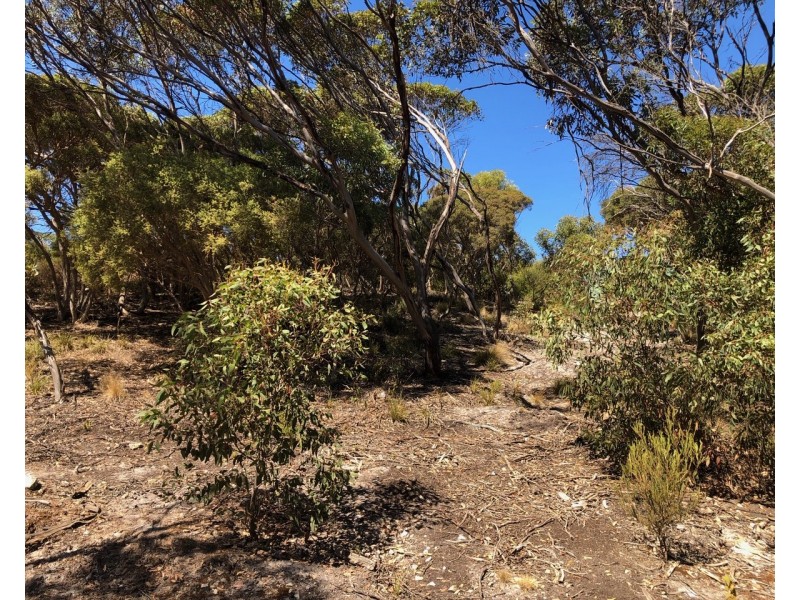 15 Bayview Road, Vivonne Bay SA 5223