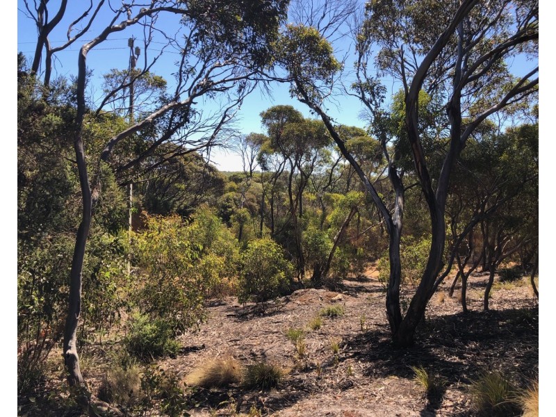 15 Bayview Road, Vivonne Bay SA 5223