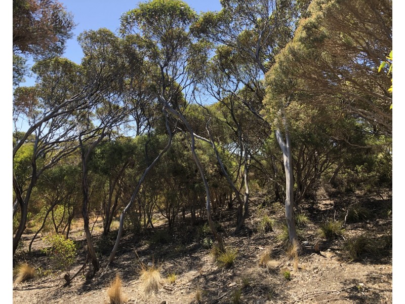 15 Bayview Road, Vivonne Bay SA 5223