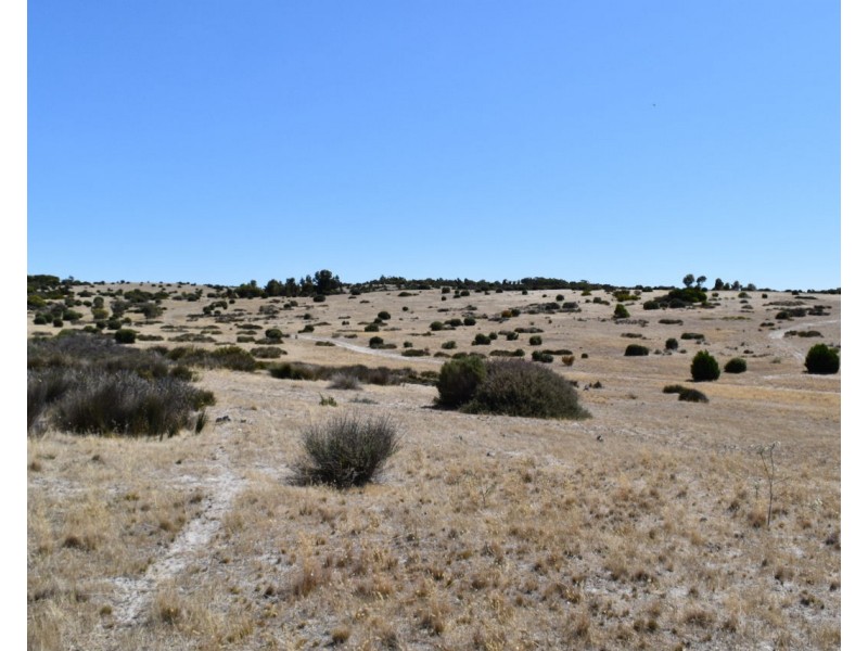 Lot 102 Old Salt Lake Road, Haines SA 5223