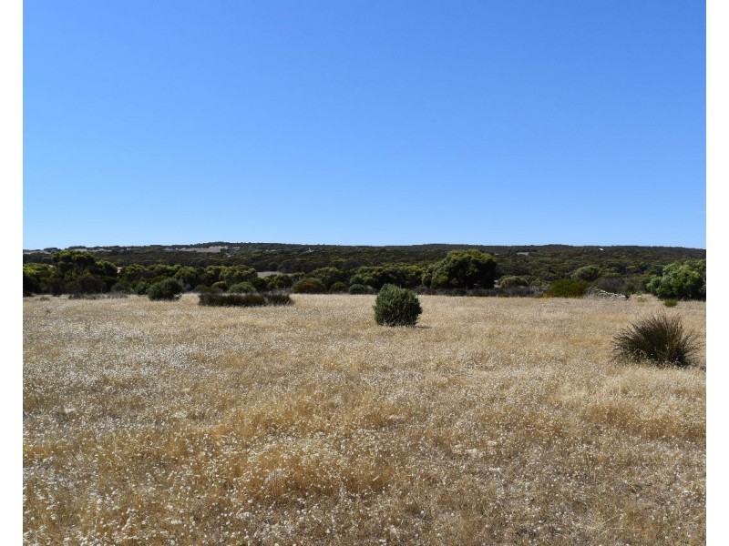 Lot 102 Old Salt Lake Road, Haines SA 5223