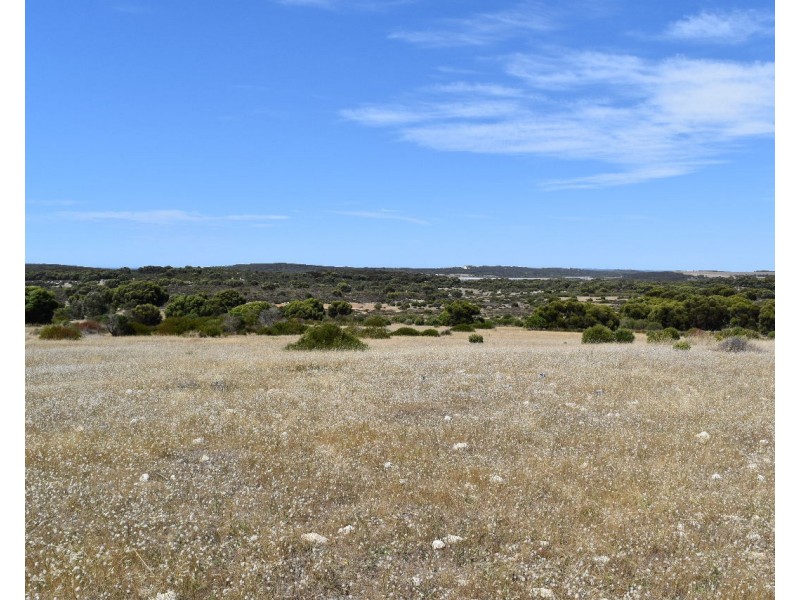 Lot 102 Old Salt Lake Road, Haines SA 5223