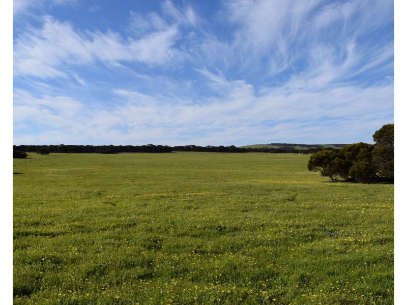 106 Rhynne road, Bay Of Shoals SA 5223
