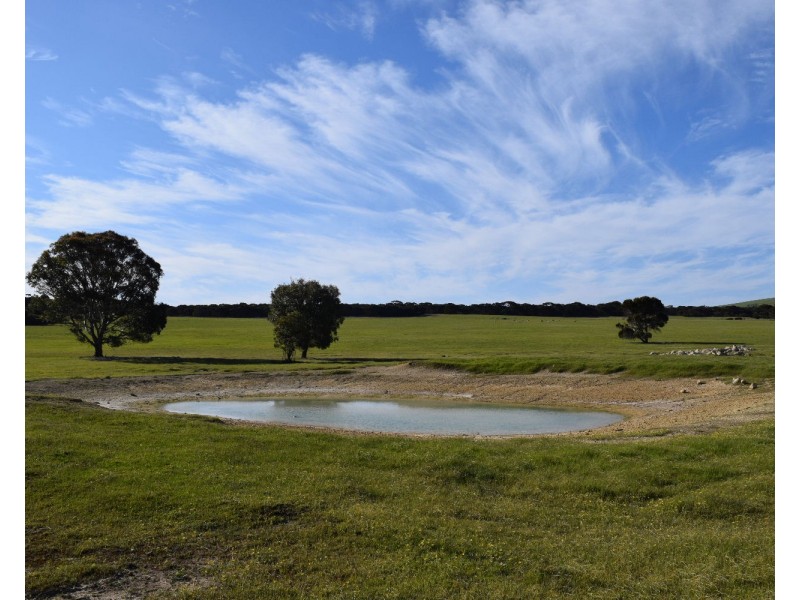 106 Rhynne road, Bay Of Shoals SA 5223