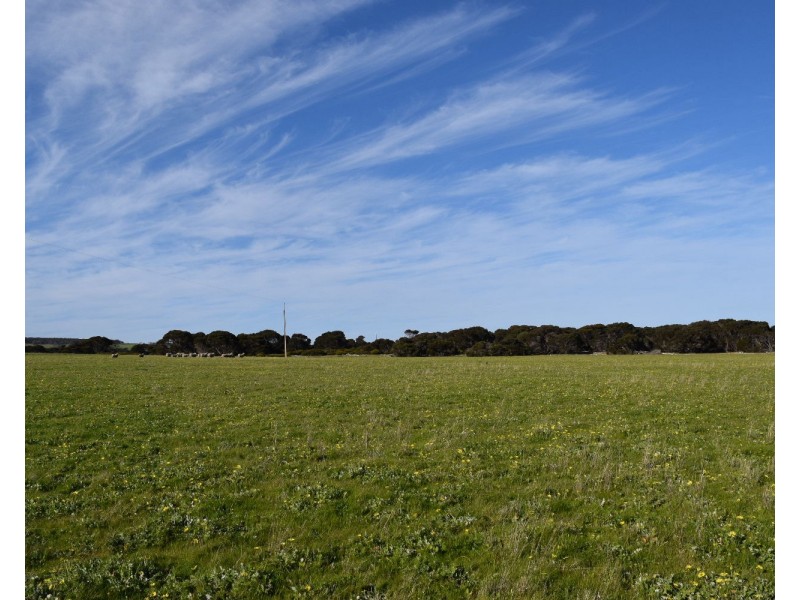 106 Rhynne road, Bay Of Shoals SA 5223