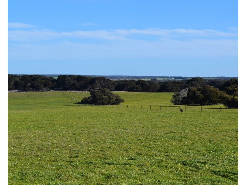 106 Rhynne road, Bay Of Shoals SA 5223