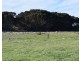 106 Rhynne road, Bay Of Shoals SA 5223