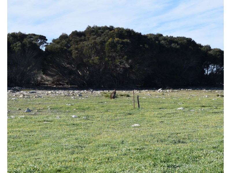 106 Rhynne road, Bay Of Shoals SA 5223