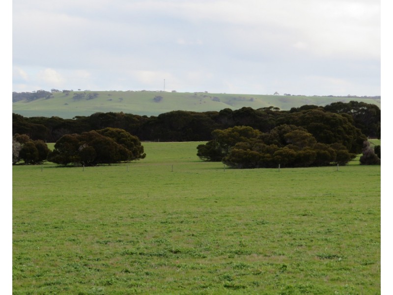 106 Rhynne road, Bay Of Shoals SA 5223
