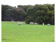 106 Rhynne road, Bay Of Shoals SA 5223