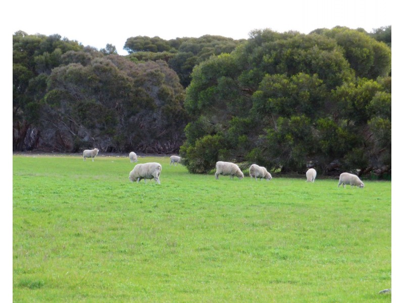 106 Rhynne road, Bay Of Shoals SA 5223