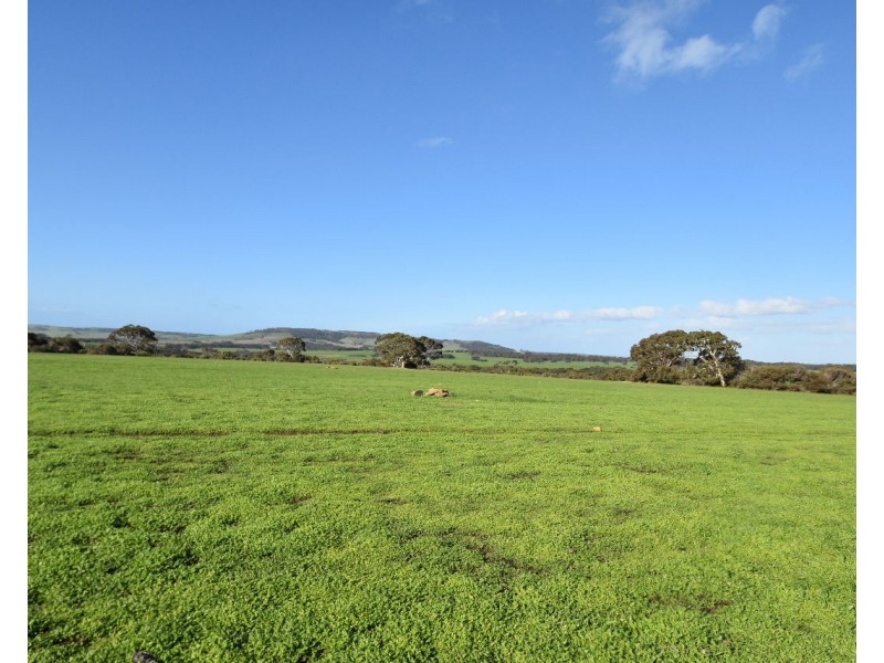 Lot 1 North Coast Road, Menzies SA 5223