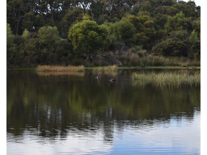 6351 Playford Highway, Gosse SA 5223