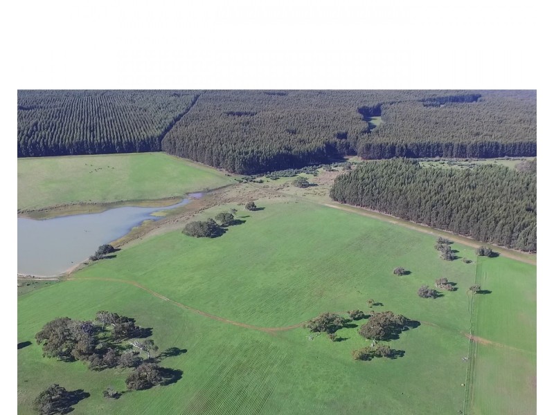 6351 Playford Highway, Gosse SA 5223