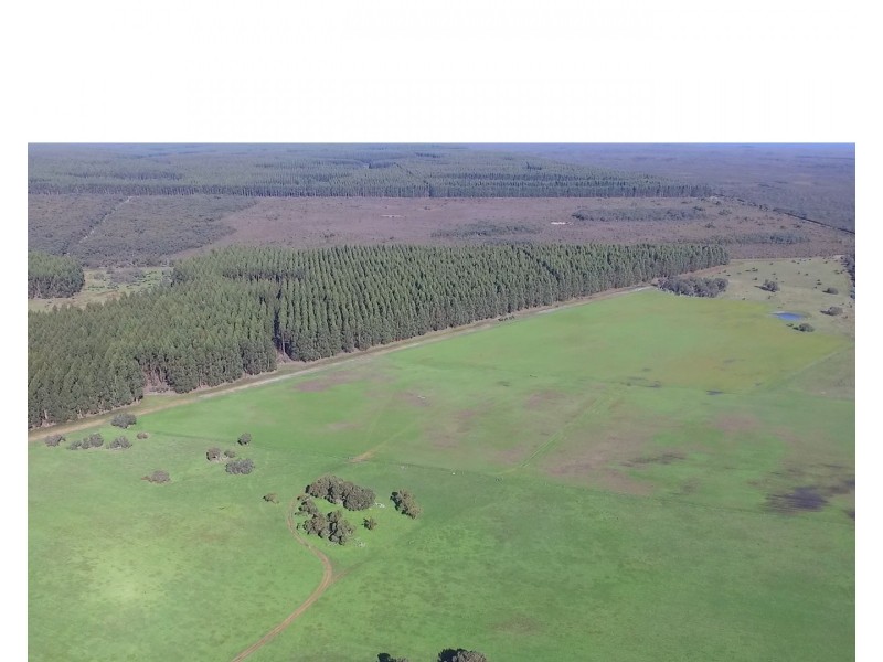 6351 Playford Highway, Gosse SA 5223