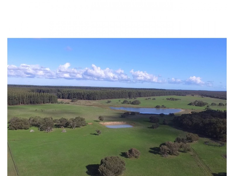 6351 Playford Highway, Gosse SA 5223