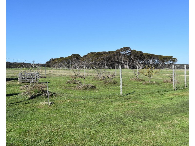 24 Frank Road, Penneshaw SA 5222