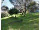 49 Scenic Drive, American River SA 5221