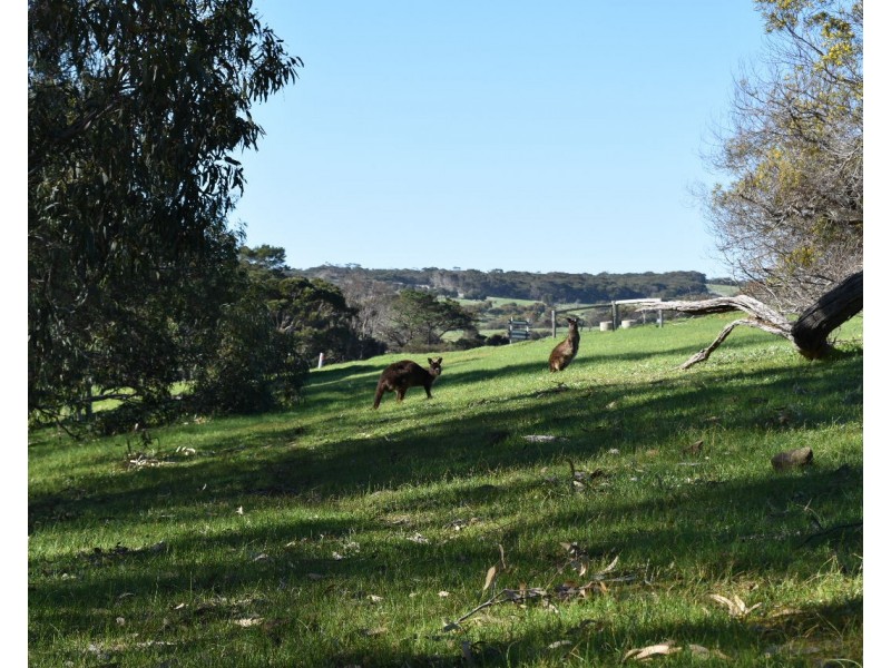 Lot 910 North Coast road, Stokes Bay SA 5223