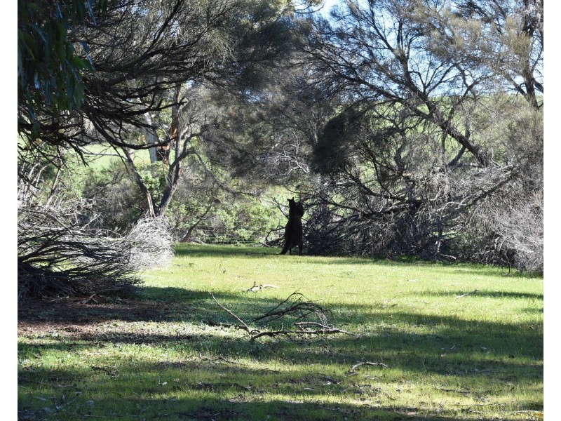 Lot 910 North Coast road, Stokes Bay SA 5223