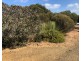 Lot 4 South Coast Road, Vivonne Bay SA 5223