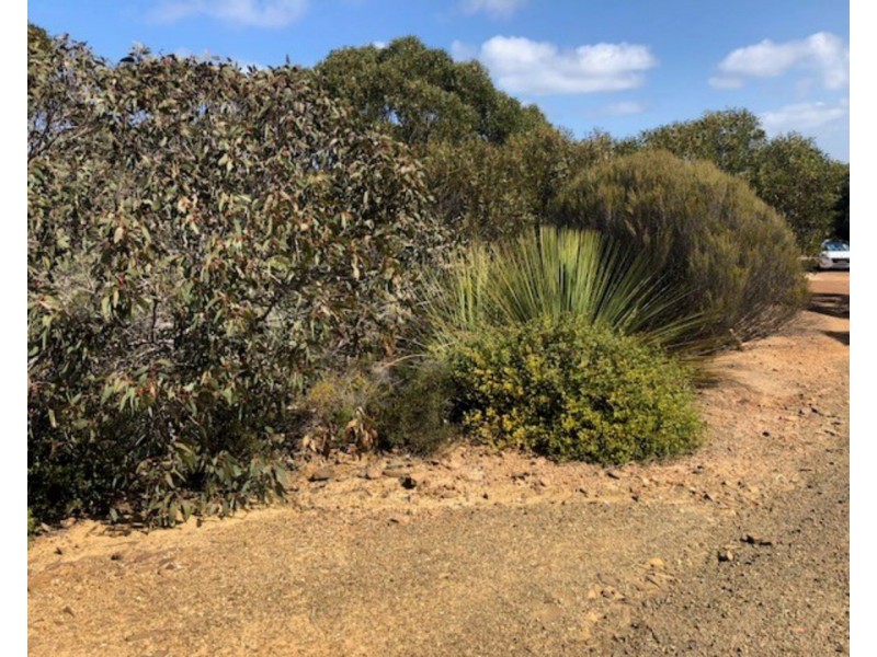 Lot 4 South Coast Road, Vivonne Bay SA 5223