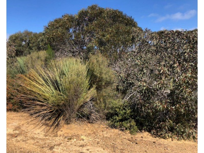 Lot 4 South Coast Road, Vivonne Bay SA 5223