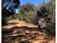 Lot 5 South Coast Road, Vivonne Bay SA 5223