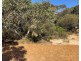 Lot 5 South Coast Road, Vivonne Bay SA 5223