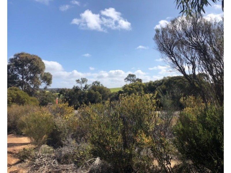 Lot 5 South Coast Road, Vivonne Bay SA 5223