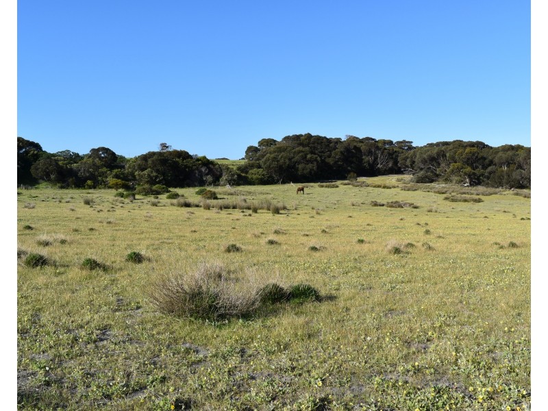 Lot 1 Hog Bay Road, Haines SA 5223