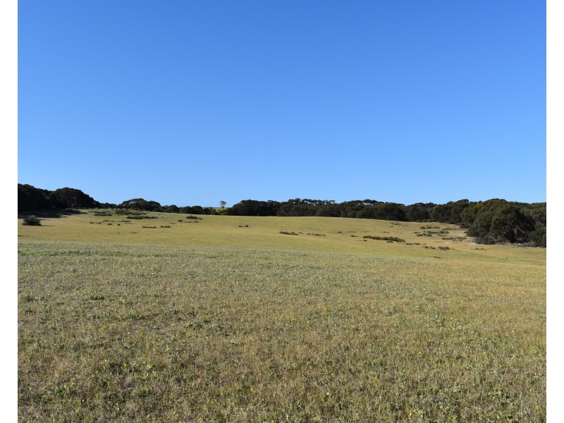 Lot 1 Hog Bay Road, Haines SA 5223