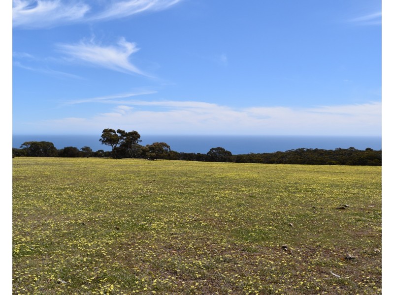 Lot 3 North Coast Road, Cassini SA 5223