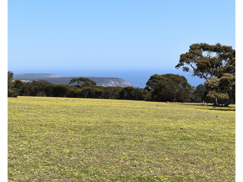 Lot 3 North Coast Road, Cassini SA 5223