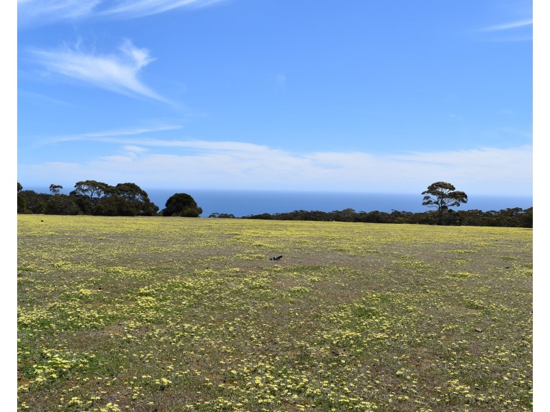 Lot 3 North Coast Road, Cassini SA 5223