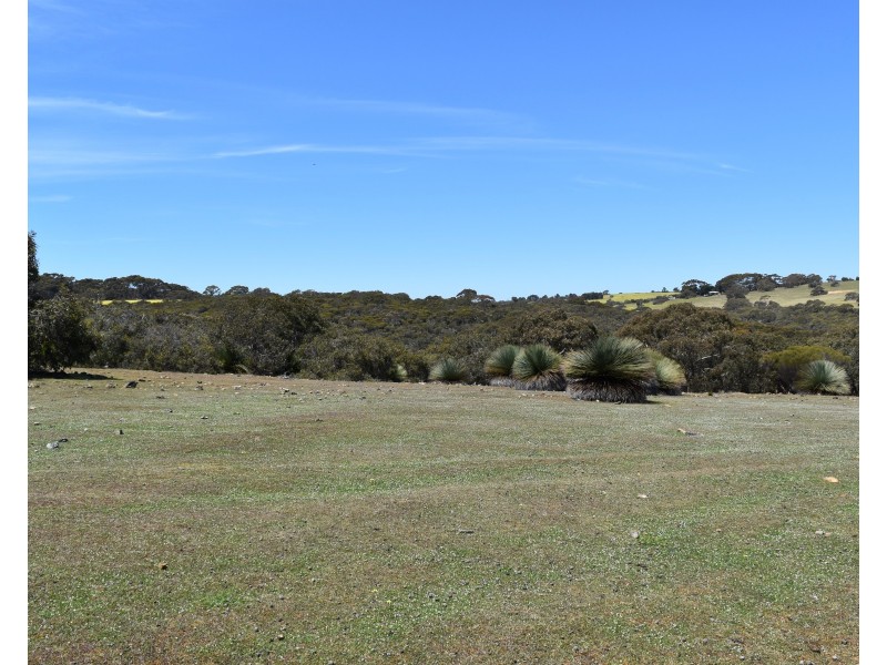 Lot 3 North Coast Road, Cassini SA 5223