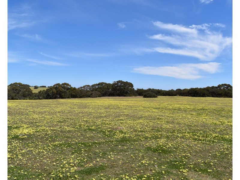 Lot 3 North Coast Road, Cassini SA 5223