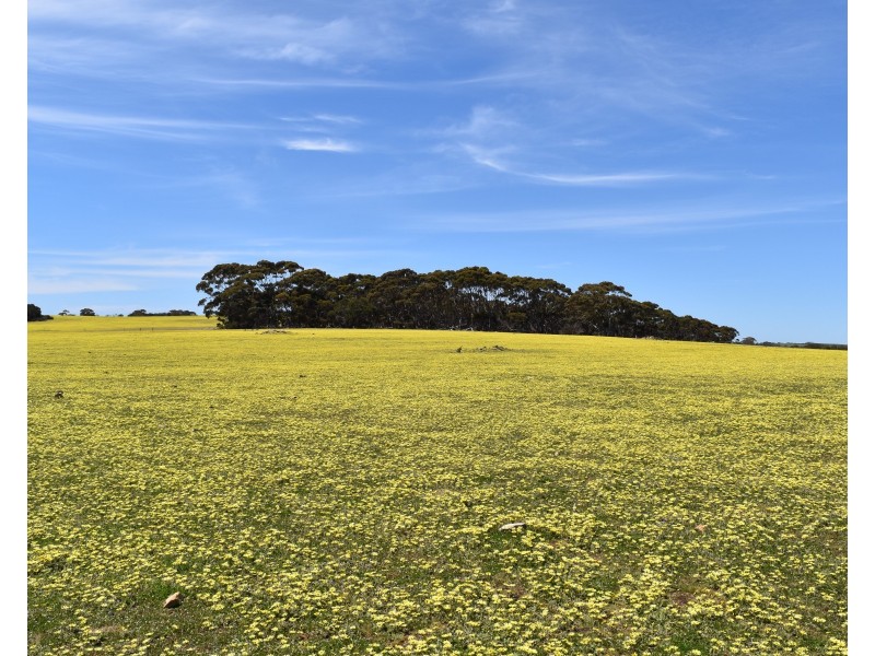 Lot 3 North Coast Road, Cassini SA 5223