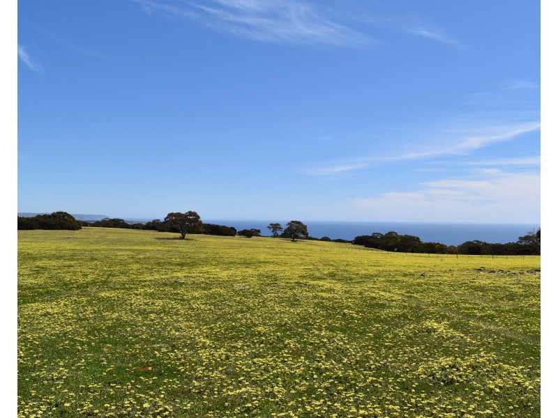 Lot 3 North Coast Road, Cassini SA 5223