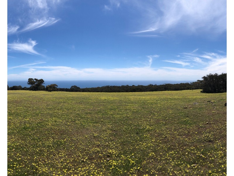 Lot 3 North Coast Road, Cassini SA 5223